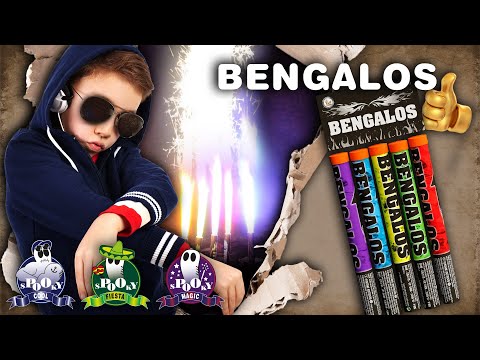 Bengalos